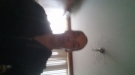 Single man zoekt warme vrouw